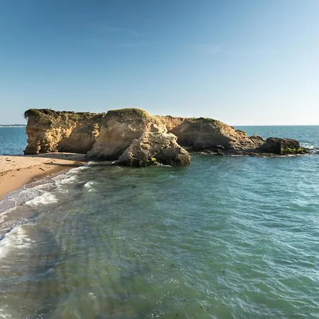 Mysavinahouse Mobilhome 4 à 6 Pers 4 Etoiles Feriehus Piriac-sur-Mer