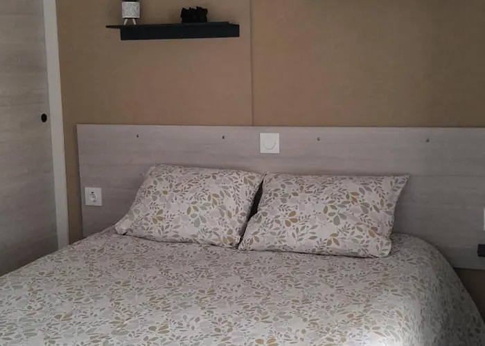 Mysavinahouse Mobilhome 4 A 6 Pers 4 Etoiles *